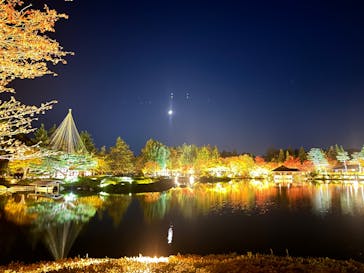 国営昭和記念公園 秋の夜散歩に投稿された画像（2023/11/18）