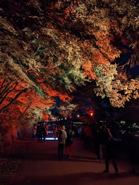 ムーミンバレーパークに投稿された画像（2023/11/18）