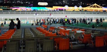 東京メガイルミに投稿された画像（2023/11/18）