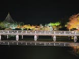 国営昭和記念公園 秋の夜散歩に投稿された画像（2023/11/18）