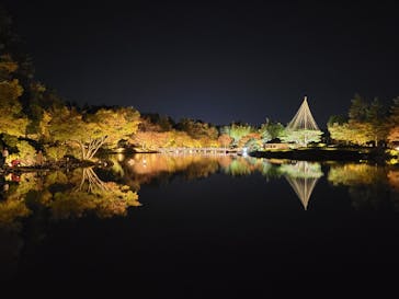 国営昭和記念公園 秋の夜散歩に投稿された画像（2023/11/18）