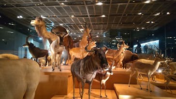 国立科学博物館に投稿された画像（2023/11/18）