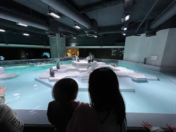 AOAO SAPPOROに投稿された画像（2023/11/18）