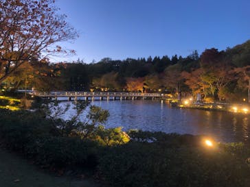 国営昭和記念公園 秋の夜散歩に投稿された画像（2023/11/18）