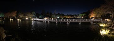 国営昭和記念公園 秋の夜散歩に投稿された画像（2023/11/18）