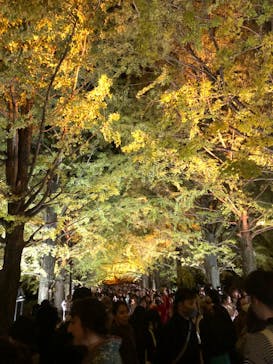 国営昭和記念公園 秋の夜散歩に投稿された画像（2023/11/18）