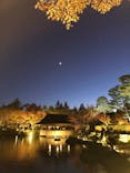 国営昭和記念公園 秋の夜散歩に投稿された画像（2023/11/18）