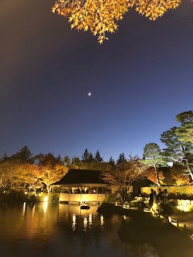 国営昭和記念公園 秋の夜散歩に投稿された画像（2023/11/18）
