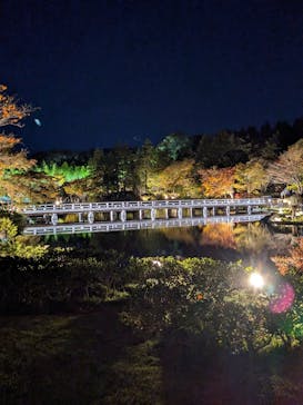 国営昭和記念公園 秋の夜散歩に投稿された画像（2023/11/18）