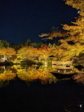 国営昭和記念公園 秋の夜散歩に投稿された画像（2023/11/18）