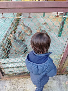 岩手サファリパークに投稿された画像（2023/11/18）