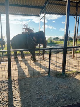 岩手サファリパークに投稿された画像（2023/11/18）