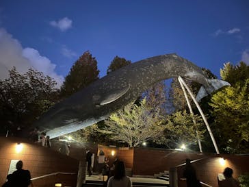 国立科学博物館に投稿された画像（2023/11/18）