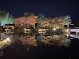 国営昭和記念公園 秋の夜散歩に投稿された画像（2023/11/18）