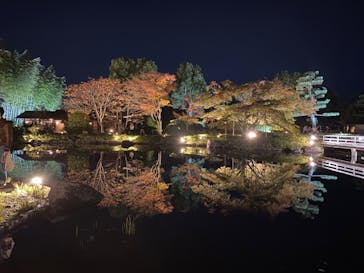 国営昭和記念公園 秋の夜散歩に投稿された画像（2023/11/18）
