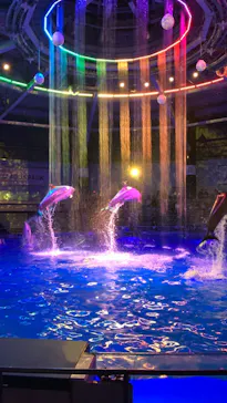 マクセル アクアパーク品川に投稿された画像（2023/11/18）