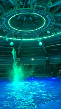 マクセル アクアパーク品川に投稿された画像（2023/11/18）