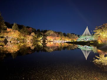 国営昭和記念公園 秋の夜散歩に投稿された画像（2023/11/18）