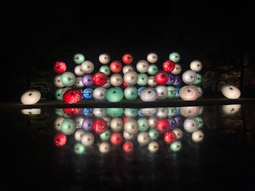 国営昭和記念公園 秋の夜散歩に投稿された画像（2023/11/18）