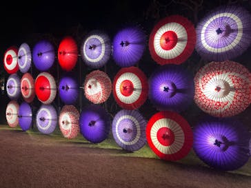 国営昭和記念公園 秋の夜散歩に投稿された画像（2023/11/18）