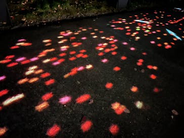 国営昭和記念公園 秋の夜散歩に投稿された画像（2023/11/18）