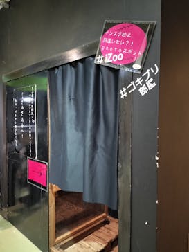 体感型動物園iZooに投稿された画像（2023/11/18）