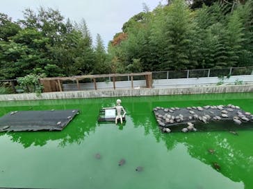 体感型動物園iZooに投稿された画像（2023/11/18）