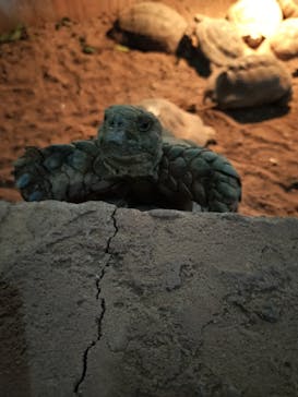 体感型動物園iZooに投稿された画像（2023/11/18）