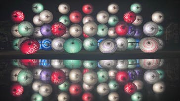 国営昭和記念公園 秋の夜散歩に投稿された画像（2023/11/18）