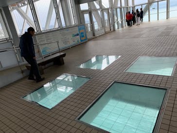 徳島県立 渦の道に投稿された画像（2023/11/18）