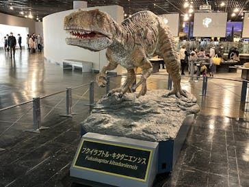 福井県立恐竜博物館に投稿された画像（2023/11/18）