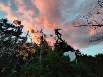 彫刻の森美術館に投稿された画像（2023/11/18）