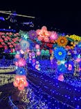伊豆ぐらんぱる公園に投稿された画像（2023/11/19）