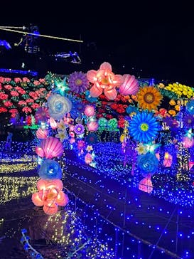 伊豆ぐらんぱる公園に投稿された画像（2023/11/18）