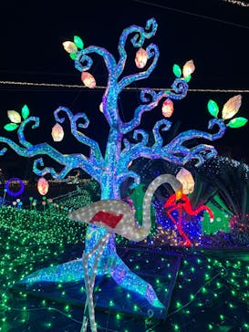 伊豆ぐらんぱる公園に投稿された画像（2023/11/18）