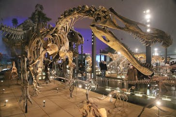 福井県立恐竜博物館に投稿された画像（2023/11/19）