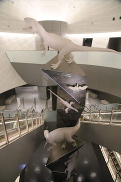 福井県立恐竜博物館に投稿された画像（2023/11/19）