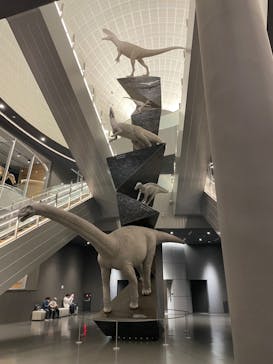 福井県立恐竜博物館に投稿された画像（2023/11/19）