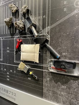 福井県立恐竜博物館に投稿された画像（2023/11/19）