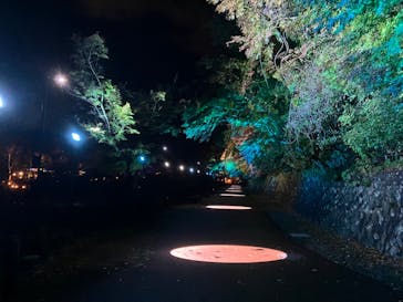 ムーミンバレーパークに投稿された画像（2023/11/19）