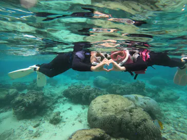 武藤潜水に投稿された画像（2023/11/19）