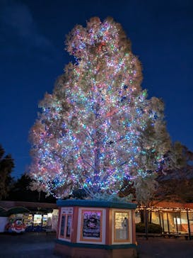 東武動物公園に投稿された画像（2023/11/19）