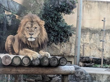 東武動物公園に投稿された画像（2023/11/19）