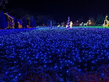東武動物公園に投稿された画像（2023/11/19）