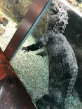 天王寺動物園に投稿された画像（2023/11/19）