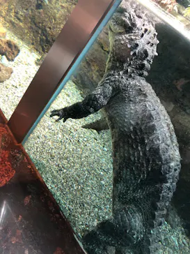 天王寺動物園に投稿された画像（2023/11/19）