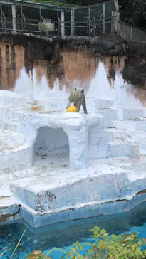 天王寺動物園に投稿された画像（2023/11/19）