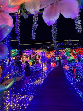 伊豆ぐらんぱる公園に投稿された画像（2023/11/19）