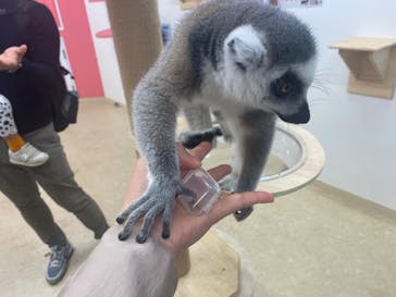 アニタッチ MARK IS 静岡に投稿された画像（2023/11/19）