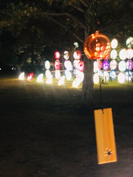 国営昭和記念公園 秋の夜散歩に投稿された画像（2023/11/19）